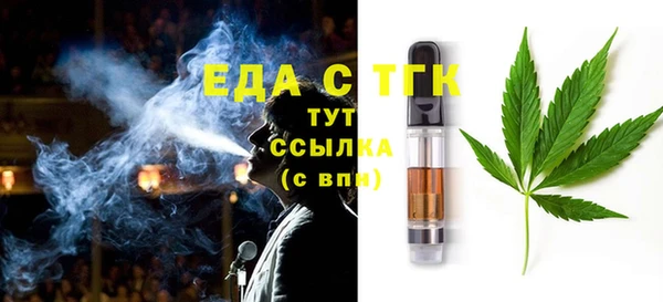 гидра Каменка
