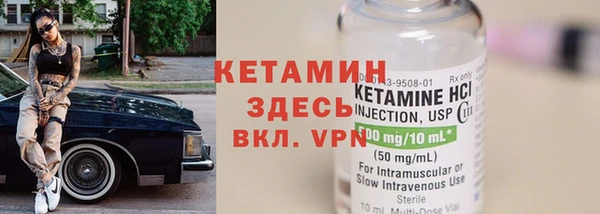 гидра Каменка
