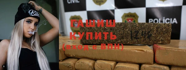 индика Инта