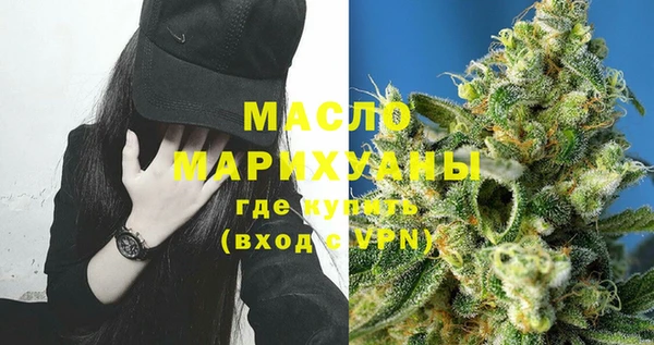 гидра Каменка
