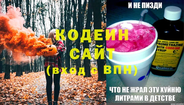 прущий лед Инсар