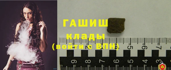 хмурый Каменногорск