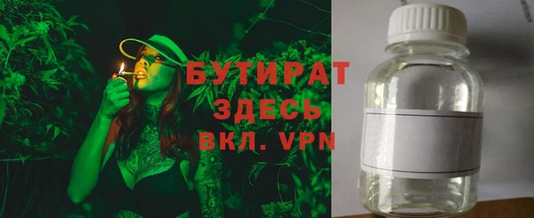 гидра Каменка