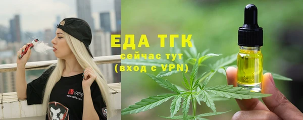 гидра Каменка