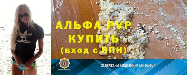 индика Инта