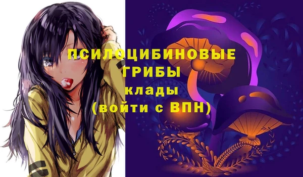 гидра Каменка