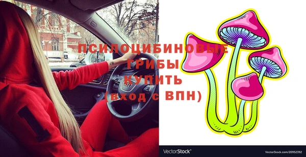 хмурый Каменногорск