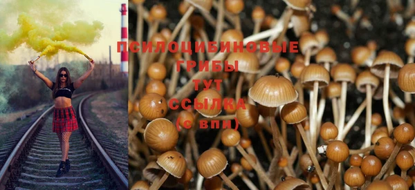 хмурый Каменногорск