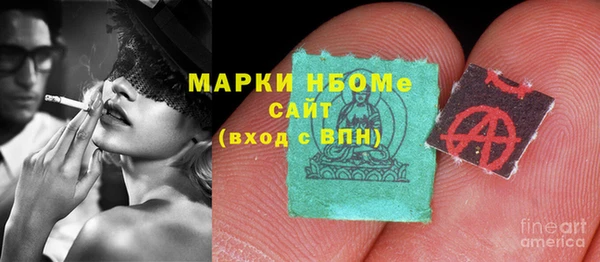 гидра Каменка