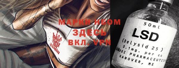 гидра Каменка
