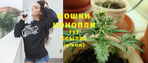 гидра Каменка