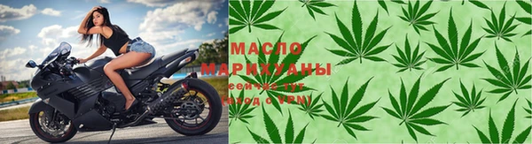 гидра Каменка