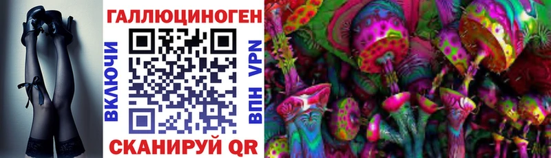 Галлюциногенные грибы MAGIC MUSHROOMS  Купить  Кадников 
